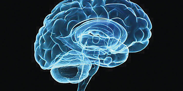 Στο παρασκήνιο της εκπαίδευσης. Ένας αθέατος κόσμος